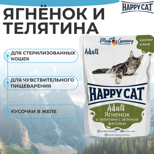   HAPPY CAT 100          ()   -     , -  