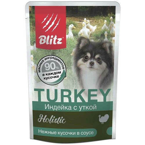  BLITZ -        TURKEY    - 85 , 24    -     , -  