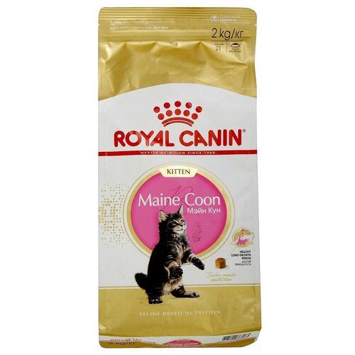    RC Kitten Maine Coon    , 2    -     , -,   