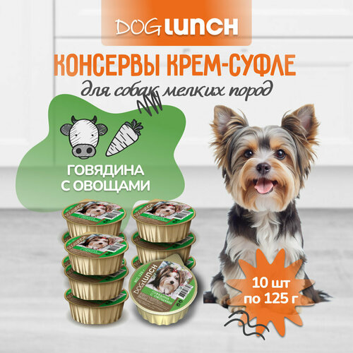      Dog Lunch -, ,   1 .  10 .  125    -     , -  