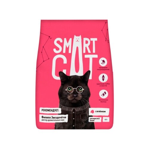  Smart Cat        1,4  25426 (2 )   -     , -,   