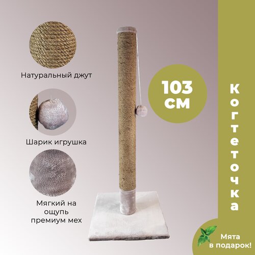 ���� ���������� ������� �� ����� 103 �� ��� ����� ����� ��������(����-���), �������� �������� �����, ����� �������, ����������, ������ ������