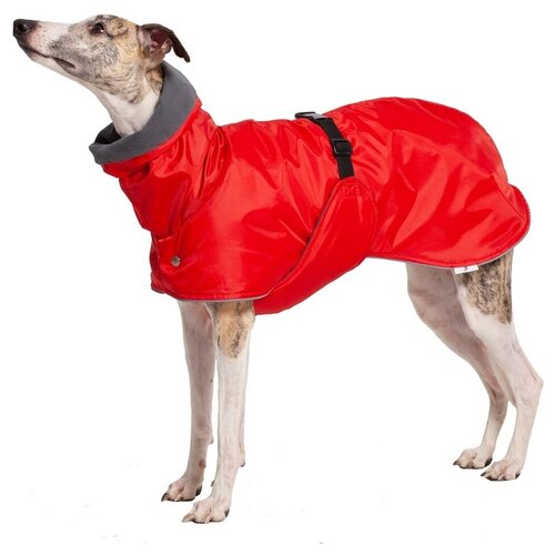 ���� ������ ��� �������� ����������, ����: �������/�����, ������ �2. ������ ��� ����� ������ ������. ������ ��� ���������� ����� � � �������������� �������., ������ ������