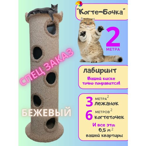 ���� ������� ��� ����� � �����������, ������� �������� �������� 2 ����� �������, ������ ������