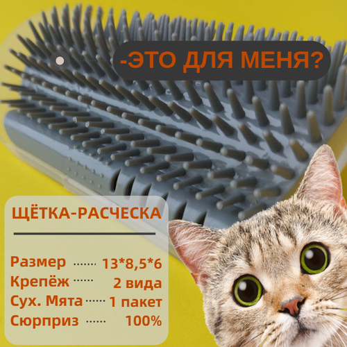 ���� ��������� ������� ����� ��� �������� ����� � ����� , ������� �������� ����� ��� �������� LAND.HAUS, ������ ������