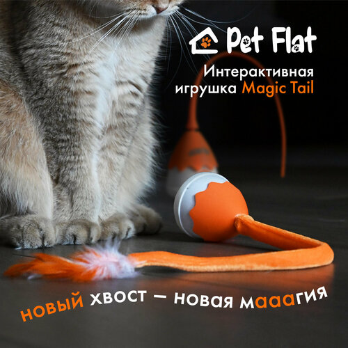    PET FLAT Magic Tail       -     , -  