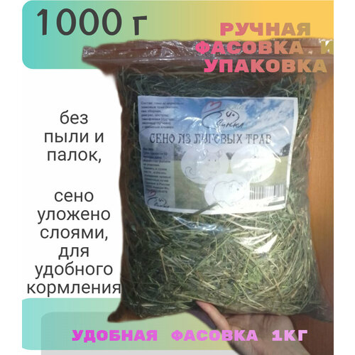 ���� ���� ����������� 2 �� 500��, ������ ������