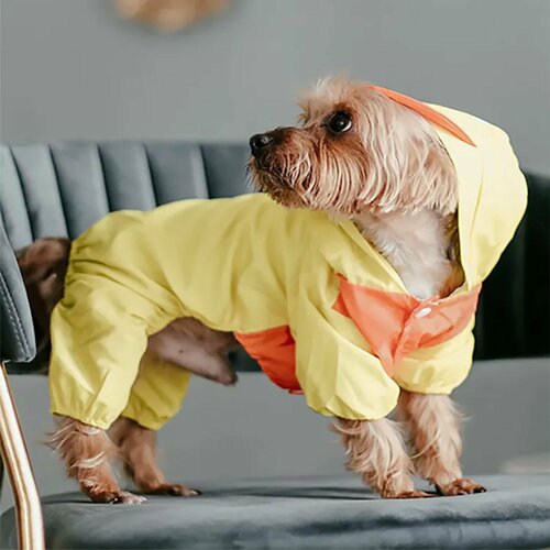 ���� �������� ��� �����, 