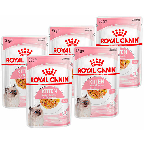  ROYAL CANIN KITTEN      85  85   5    -     , -  