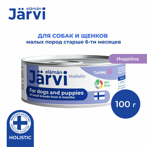  Jarvi        , 100 .   -     , -  