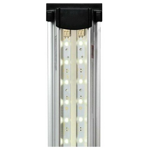      LED Scape Sun Light (100 .)   -     , -  