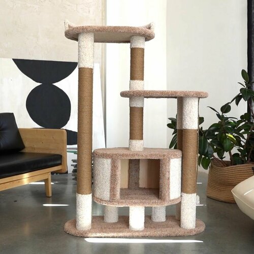 ���� ������� �������� ��� ����� � �������, ���������� � ��������� 