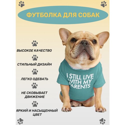 ���� �������� ��� ����� ������ � ������� �����, ��� �����, ��� �����, ��� ������ � �����. ������ ��� ����� � �����. ������-L ���������, ������ ������