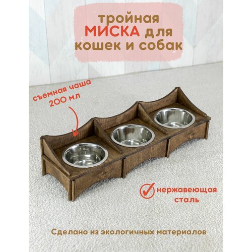 ���� �������� ��� ����� � ����� ������� � ������� ������, ������ ������