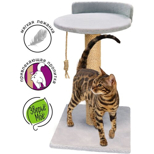 ���� ���������� ��� ����� 