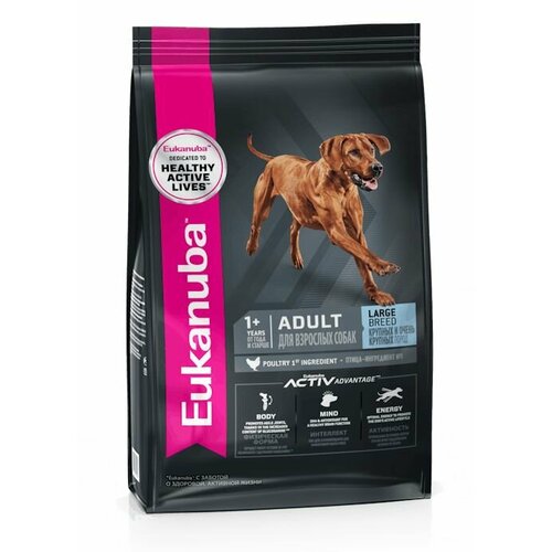  EUKANUBA ADULT LARGE BREED 3         5   -     , -  