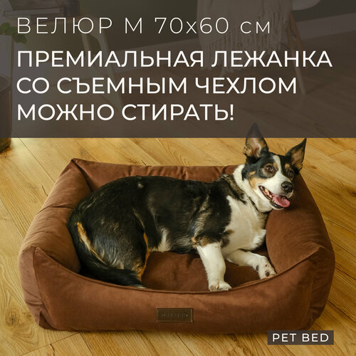 ���� ������� ��� ����� ������� ����� �� ������� ������ PET BED �����, ������ M 70�60 ��, ����������, ������ ������