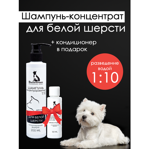       Doctor Groom,   , , , ,      , 200   -     , -  