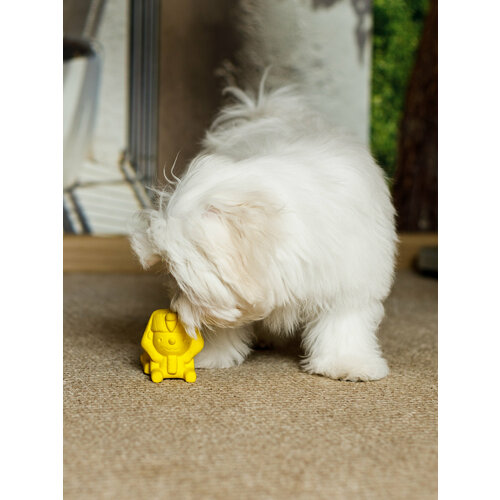 ���� ������� �� ������������ ������� ��� �����-���������������� �� ����� 