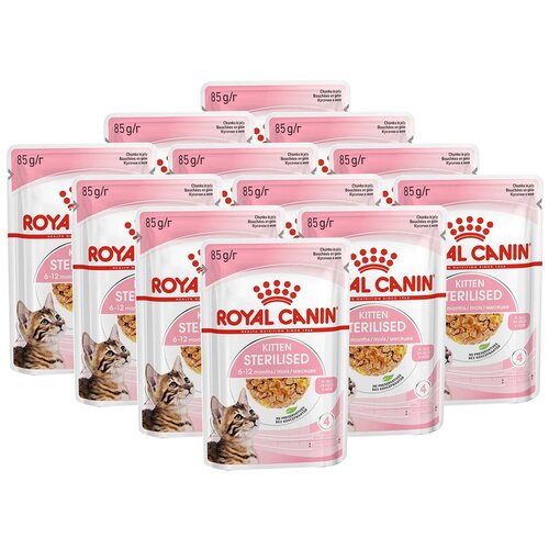       Royal Canin   ,   12 .  85  (  )   -     , -  