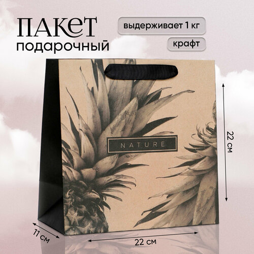 ���� ����� ���������� �Black�, 22 � 22 � 11 ��, ������ ������