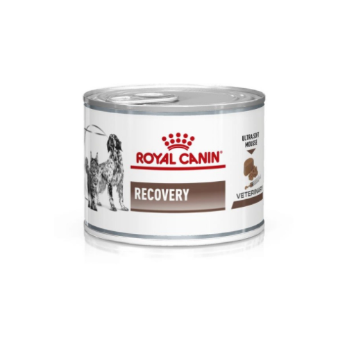      Royal Canin Recovery      12 .  195    -     , -,   
