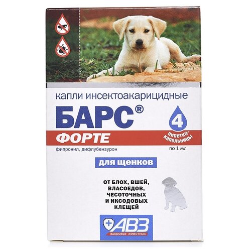 ���� ��� ������� �� ���� � ������ ���� ����� ��� ������, �����, �����, ��� �������� �������� 4 ��. � ��., 1 ��., ������ ������