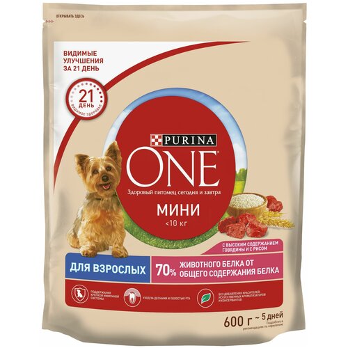    Purina ONE        ,        600   2    -     , -  