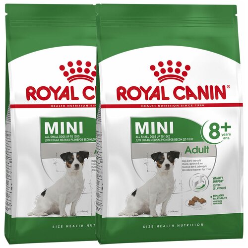  ROYAL CANIN MINI ADULT 8+       8  (2 + 2 )   -     , -  