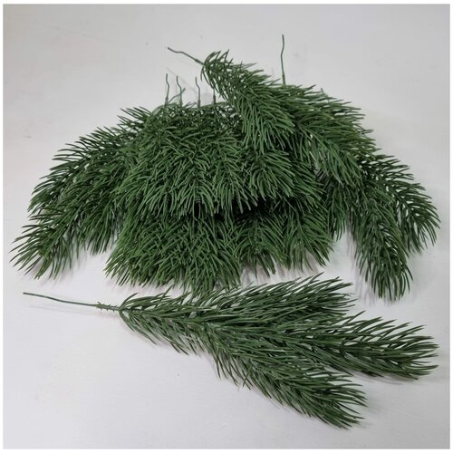 ���� ����� ������ 3 ����. ���������� ������. ���� �������. �������� 10 ��, ������ ������