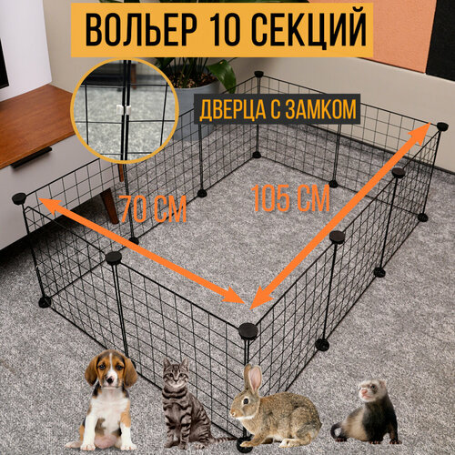 ���� ������ ������ ��� ����� ������ ����� ������ �������� 10 ������ � �������, ������ ������