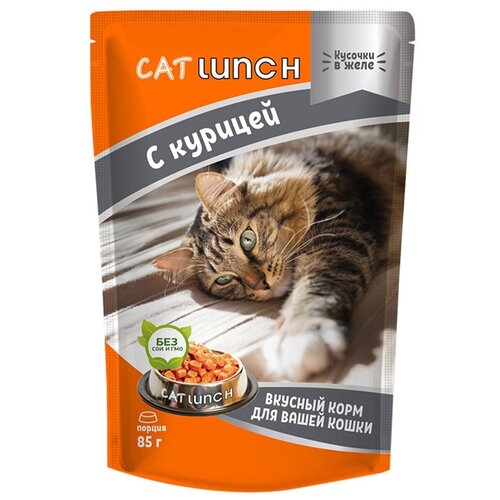    Cat Lunch        85*24