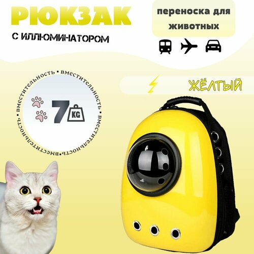 ���� ������ ��������� ��� ����� � ����� � ������������� / ��������, ������ ������