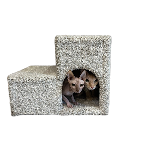 ���� ������� ������������ ��� ����� � ����� ��� ����, ���� �����, ������ ������