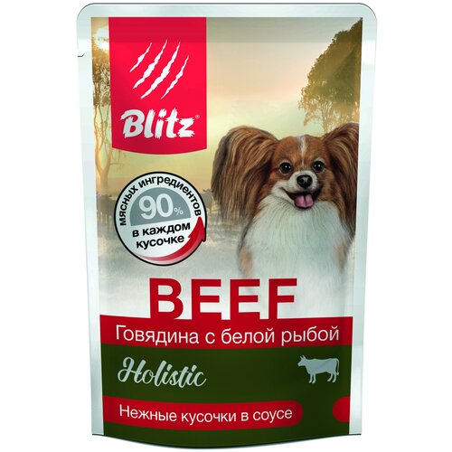    BLITZ HOLISTIC BEEF             (85   24 )   -     , -  