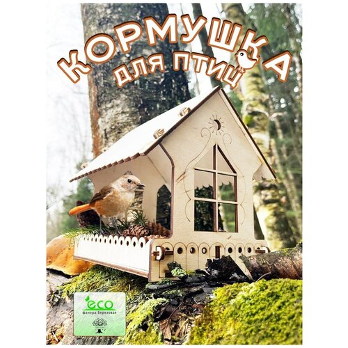 ���� �������� ��� ���� ����������, ������ ������