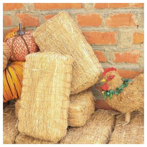 ���� ����������� � ���� ���� ����� 16�� ������ ���, ������ ������