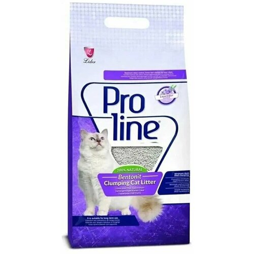   Proline    , , ,  ,    10 .   -     , -  