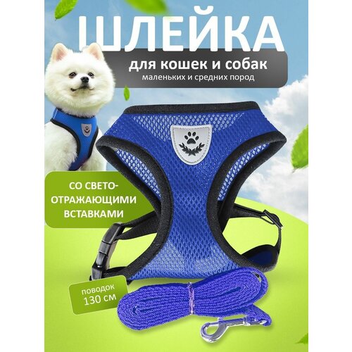 ���� ������ ��� ����� � ����� � �������� 130 �� �� ���������������� ����������, ������ ������