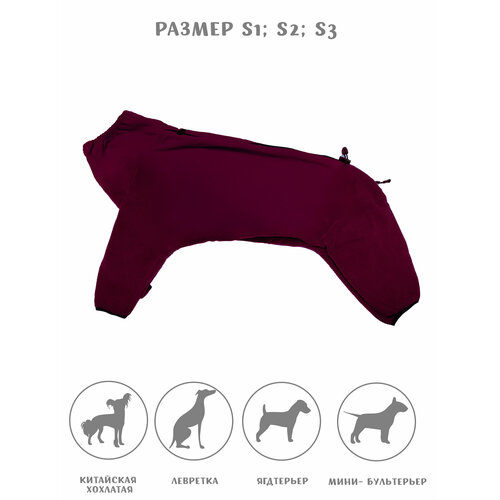 ���� �������� ���������� ��� ����� �� ������, ���� ��������, ������ S4, ������ ������