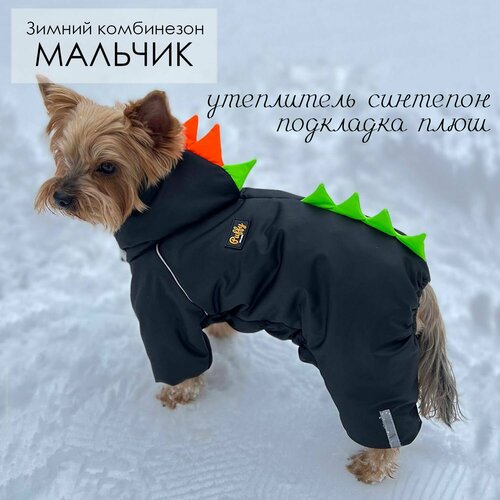 ���� ����������, ������ ��� ����� ������ � ������� �����, ������� ��� �������� ����, ������ ������