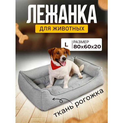 ���� ������� ��� ����� � ����� ������� � ��������� � ��������, ������ ������