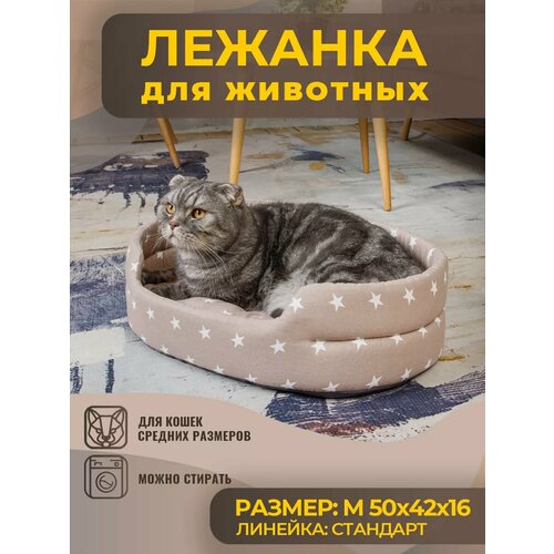 ���� ������� ��� ����� � ����� ������� �����, ����, ������ ������