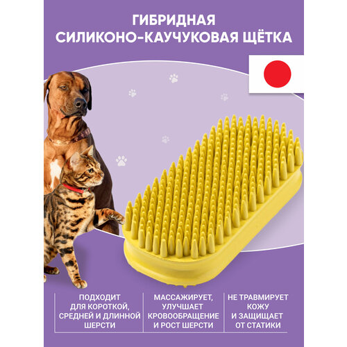       Japan Premium Pet         .   -     , -  