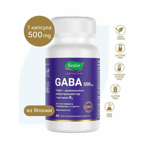���� GABA 500 ��, 60 ������, Evalar Laboratory, ������ ������