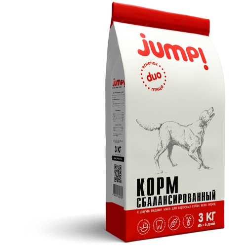       JUMP Duo    , 3    -     , -,   
