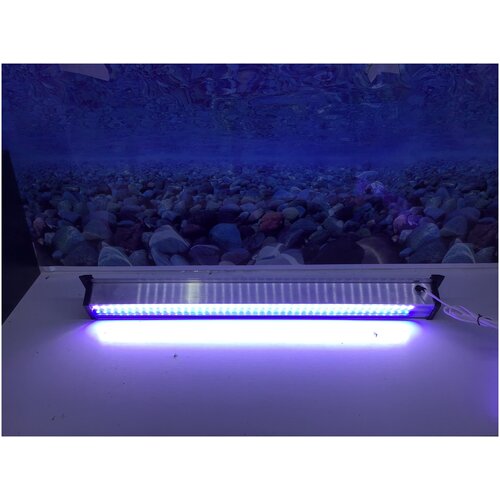       ZelAqua juwel LED  800   -     , -  