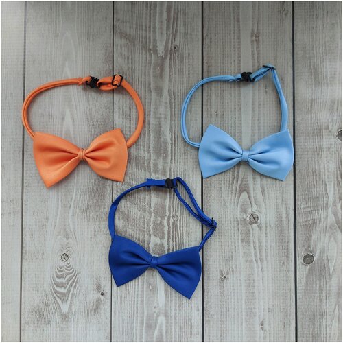 ���� ������� ��� ������, ����/�������-������� ��� ��������, 11 ��, TailsTime, ������ ������