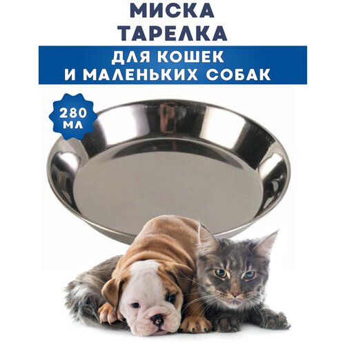 ���� �����-������� ��� ��������, �� ����������� �����, 0.28 �, ������ ������