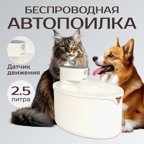 ���� ������������ ���������� � �������� �������� ��� ����� � �����, ������ ������